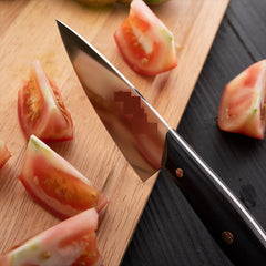 Outdoor 4-inch Chef's Versatile Fruit Cutting Carving Knife