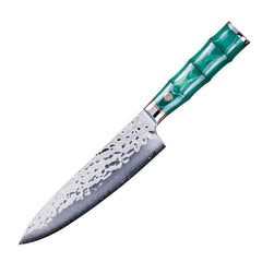 Damascus Steel Japanese Chef Knife with Real Abalone Shell Handle - 67-layer Japanese Damascus VG10 Steel,-Tang Blade