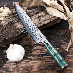 Damascus Steel Japanese Chef Knife with Real Abalone Shell Handle - 67-layer Japanese Damascus VG10 Steel,-Tang Blade